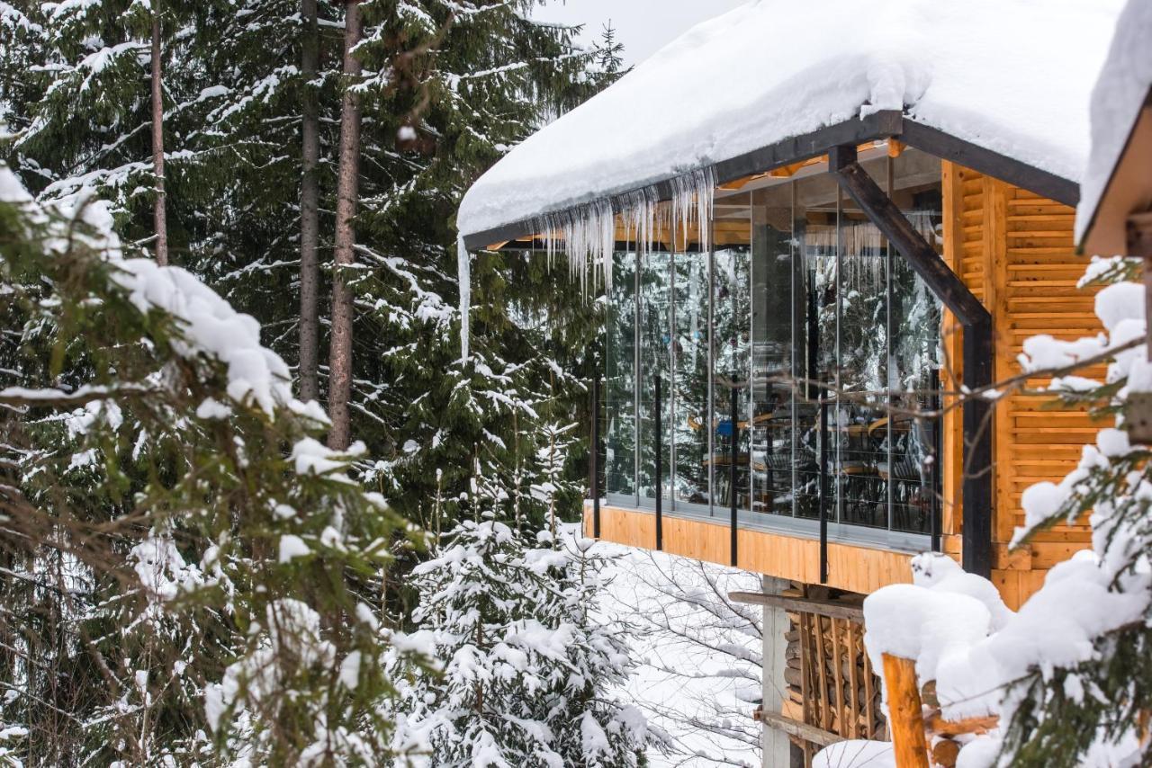Stara Pravda Villas Bukovel Luaran gambar