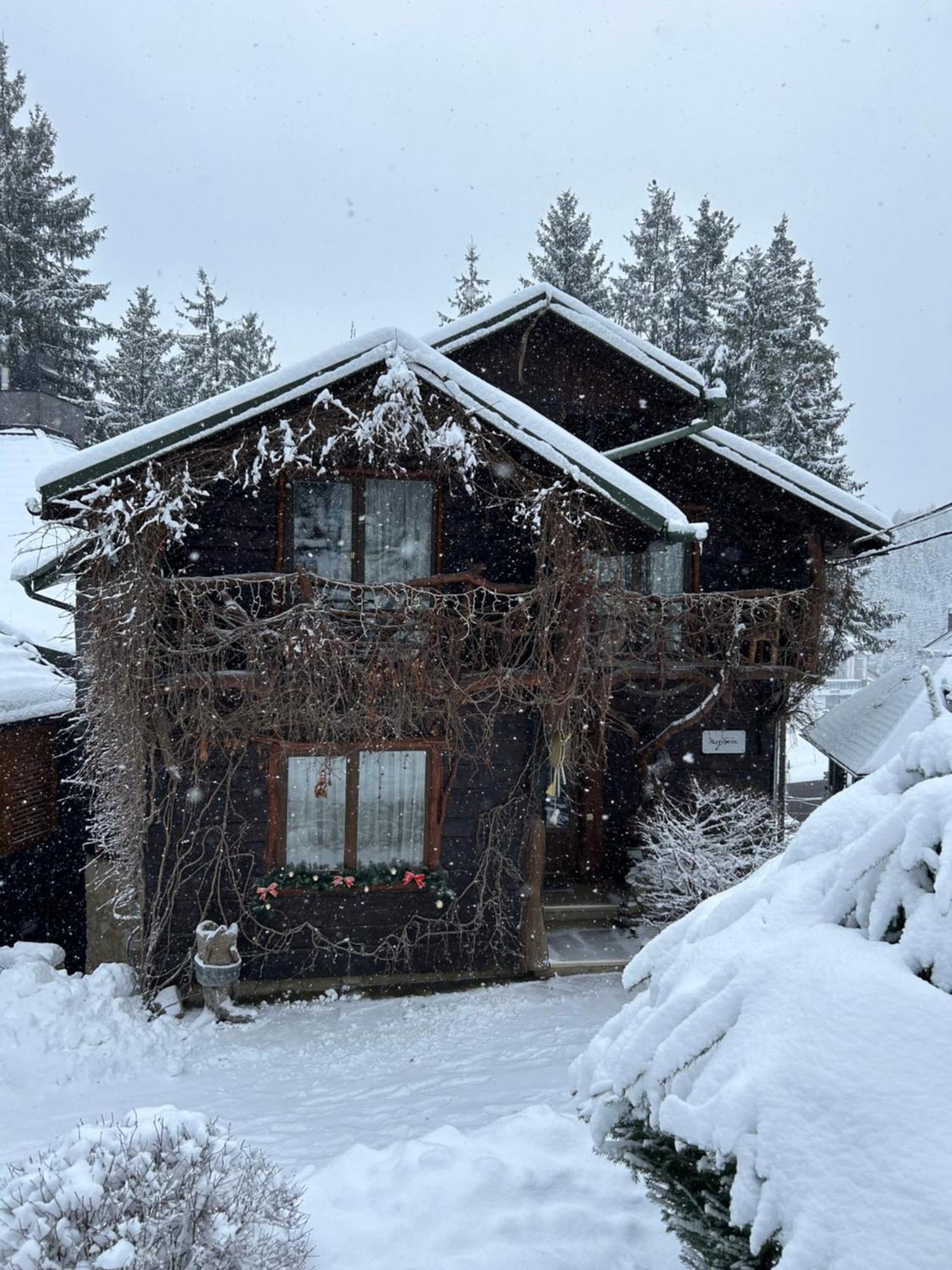 Stara Pravda Villas Bukovel Luaran gambar
